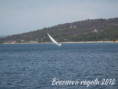 /album/snimky-z-nekolika-rocniku-breznove-regaty/breznova-regata-2012-1-jpg/
